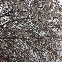 فراغت خوش در سویت طالقان