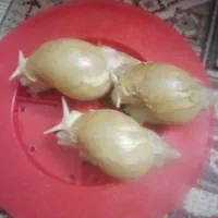 وقت ندارم و یه عنوان جایزه جایی