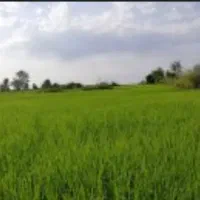 فروش زمین ۸۶۱متری واقع در شهر سیجوال