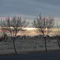 زمین-خانه-پرندک