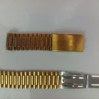 بند ساعت رادو