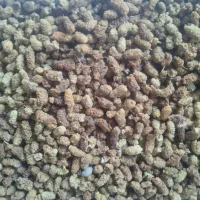 توت خشک حدود 100 کیلو