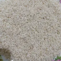 برنج مشمپا