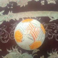 توپ ورزشی چمنی