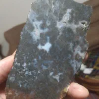 شجر طبیعی بی نظیر