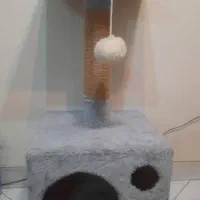 خونه گربه واسکچر