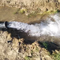 اجاره هشت هکتار زمین کشاورزی دارای آب