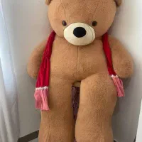 خرس دو متری