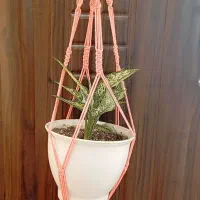 اویز و شلف مکرومه|صنایع دستی و سایر لوازم تزئینی|میانه, |دیوار