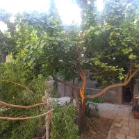 منزل ویلایی 240 متری با مغازه تجاری|فروش زمین و ملک کلنگی|اصفهان, خلجا|دیوار