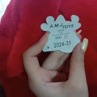 عروسک خرس|اسباب‌بازی بچه|محمدیه-قزوین, |دیوار