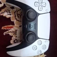 ps5fat