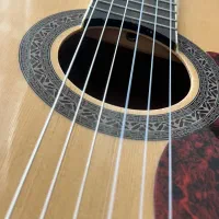 گیتار روتس کره ای بسیار خوش صدا|گیتار، بیس، امپلیفایر|همدان, |دیوار