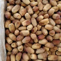 خرمای زاهدی وشندشکن