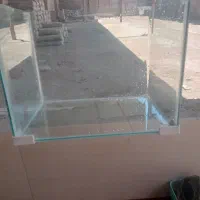 آکواریوم|ماهی|خرمشهر, |دیوار