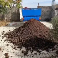 کود گاوی|خدمات باغبانی و درختکاری|چناران, |دیوار