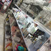 پلاسکو و لوازم اشپزخانه