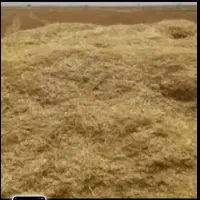 کاه گندم اهواز