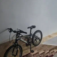 دوچرخه درحد نوع