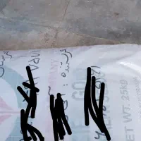 بذر یونجه آمریکایی اصل