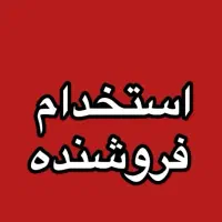 فروشنده حرفه ای جوان