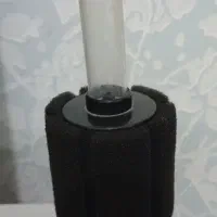 aquarium|ماهی|قم, بنیاد|دیوار