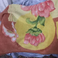 پتو یک نفره|رختخواب، بالش، پتو|گلبهار, شهر جدید گلبهار|دیوار