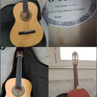 فروش فوری گیتاربرند focus