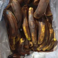 موز شیر موزی