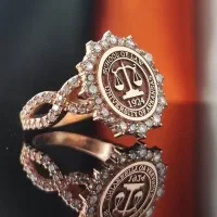 وکیل پایه یک/دادگستری/مُشاوره حِرفه ای(قبول وکالت)