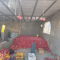 باغ انار 15هزار متر دارای موتوراب|فروش دفتر صنعتی، کشاورزی، تجاری|قاهان, |دیوار