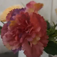 فروش سیم کارت تقریبا صفر