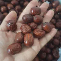 عناب بیرجندی ولواشک الو زرد