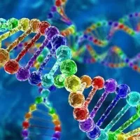 تدریس زیست پایه دهم یازدهم دوازدهم