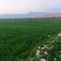 فروش-5هزار-متر-زمین-کشاورزی-در-محدوده-شهر