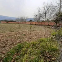 ۵۰۰۰ متر زمین چهار دیواری|فروش زمین و ملک کلنگی|نوکنده, |دیوار