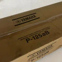 پیانو p125a 2025