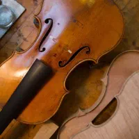 کارگاه ریگلاژ بازسازی تعمیر و فروش و تعویض ویولن|ویولن|تهران, استاد معین|دیوار