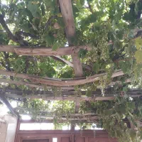 خانه ویلایی حاجی آباد