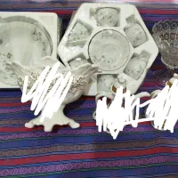 ظروف پذیرایی