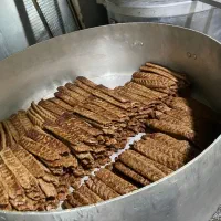 آشپزی به صورت دستمزدی