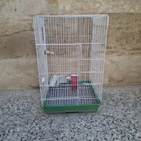 خریدار واقعی|عمدهفروشی|شیراز, تلخ داش|دیوار