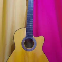 گیتار دانش آموزی