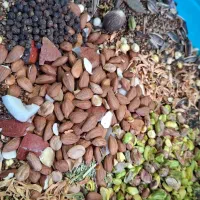 فروش محصولات خانگی