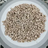 لوبیا چیتی داخلی