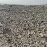 فروش نیم هکتار زمین کشاورزی|فروش دفتر صنعتی، کشاورزی، تجاری|عنبرآباد, |دیوار