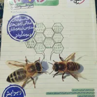 کتاب تیزهوشان نهم|کتاب و مجله آموزشی|کرج, حصارک بالا|دیوار