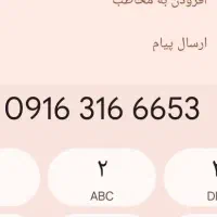 شماره دائمی 09163166653