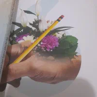 کتاب های سال دوازدهم علوم انسانی دست نخورده و تازه|کتاب و مجله آموزشی|رشت, سلیمانداراب|دیوار