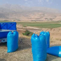 کاه گندم دیم نرم گوسفندی